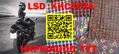 a pvp Шебекино