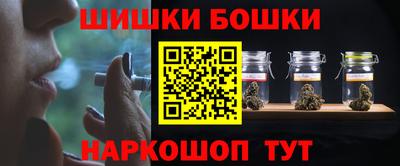 крисы Шахты