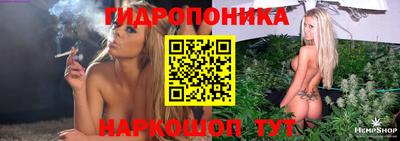 крисы Шахты