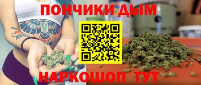 крисы Шахты