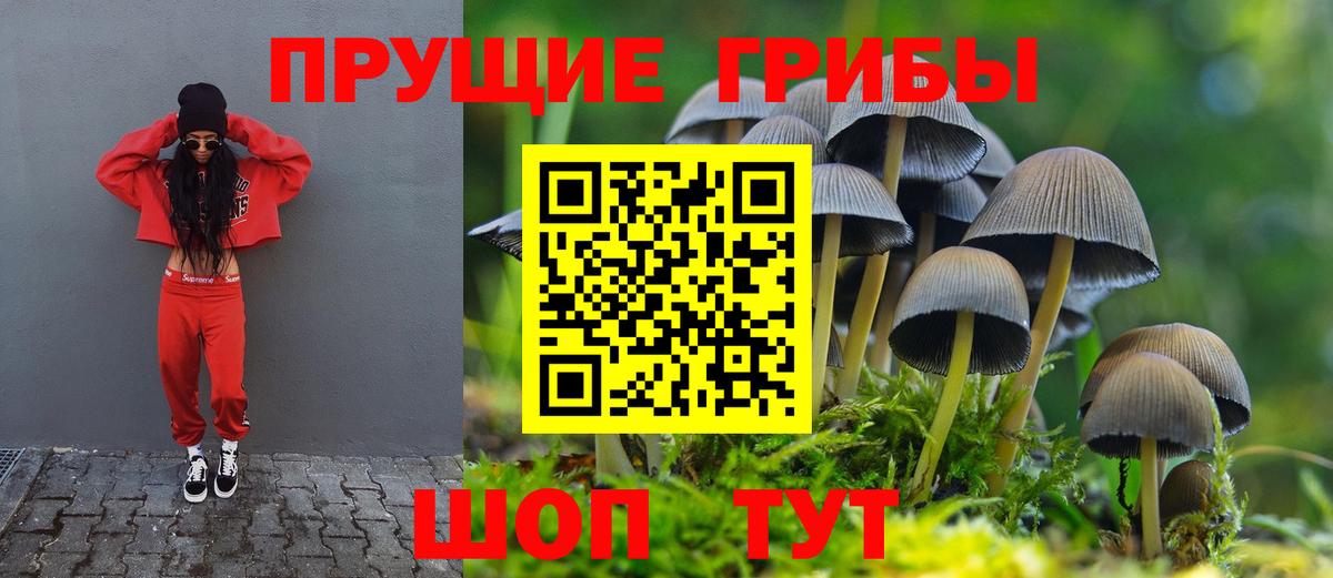Белореченск  Псилоцибиновые грибы прущие грибы  Вход с VPN 